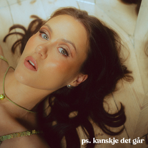 Fange månen i en håv