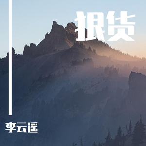 狠货