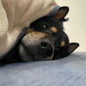 她来听我的演唱会