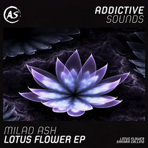 Lotus Flower (Bodzey Remix)