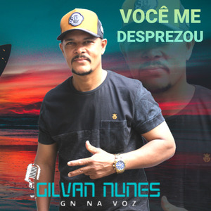 Você Me Desprezou