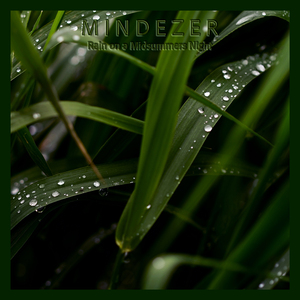 Rain on a Midsummers Night