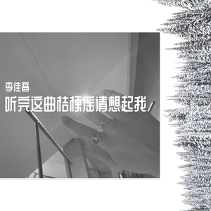 听完这曲桔梗谣请想起我