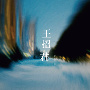 王招君