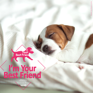 차이코프스키: 꽃의 왈츠