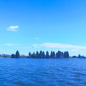 My summer is coming back