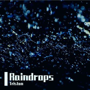Tristan-Raindrops（YletSism remix）