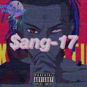 $ang-17