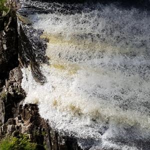 Befikra(panjabi Language)