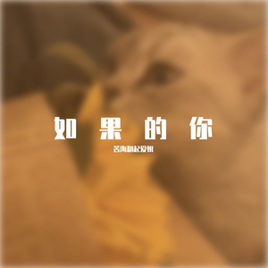 平凡之路（椰子版）