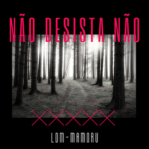 Não Desista Não