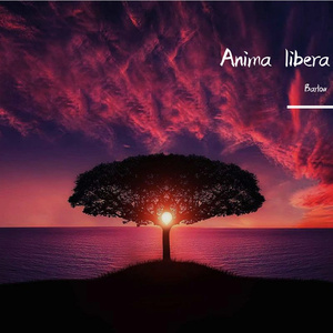 summerlove-Emi Feat. M2O Team - Anima Libera (Strong Extended Mix)（Barlow remix）