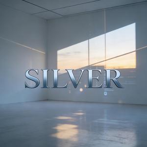 REFLECTIONS IN CHROME