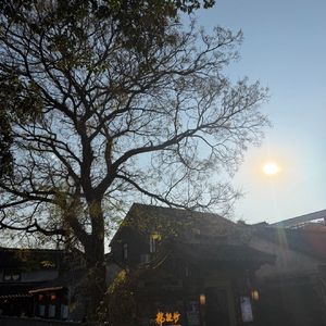 暖阳同行-专治不乖