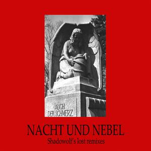 Idziemy Przez... (Shadowolf aka Dziad Borowy Remix) (Shadowolf Edit 2005)