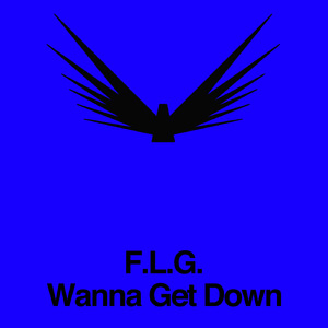 Wanna Get Down