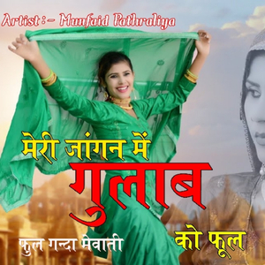 मेरी जागन में गुलाब को फूल . फुल गंदा मेवाती गाना
