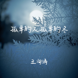 孤单的人孤单的冬