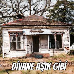Divane Aşık Gibi