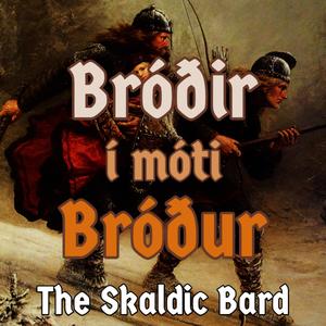 Bróðir í móti bróður