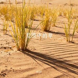 荒漠中的草