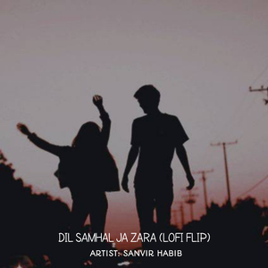 DIL SAMBHAL JA ZARA (Lofi Flip)