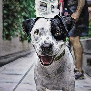 Cellulitis Hoarfrost