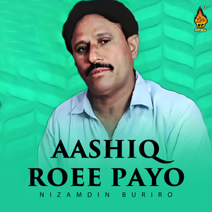 Sohno Bulb Jiyan Barando Aahe