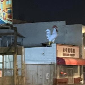 waiting for a sunrise that wont come