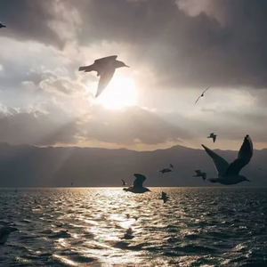 dj华先生-明年今日（DJ弹鼓版）（阿龙 remix）