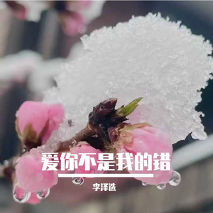 爱你不是我的错