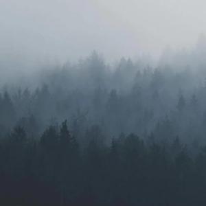 蟋梦人生(Cover EDIQ）