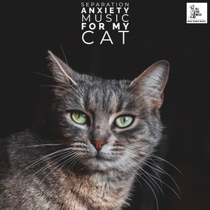 Music For Cats To Fall Asleep