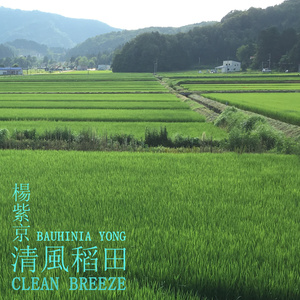 清风稻田