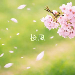 桜風