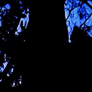 Deep Rest (feat. LIL BUCKSTA & wavedup)