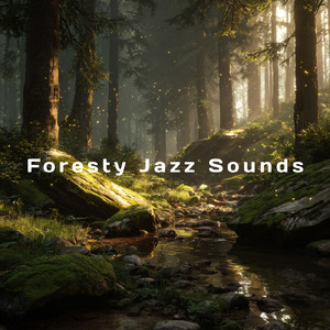 Quiet Relax Flow