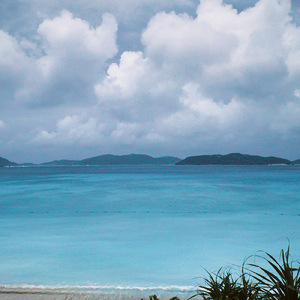 夏にかけられて (feat. Ashley Blossom, Jayde & Kleo)