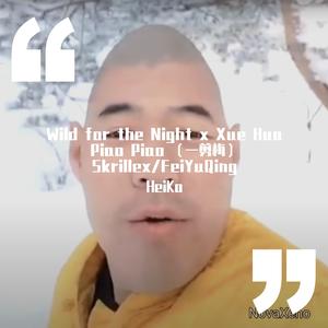 A$AP Rocky-Wild for the Night Xue Hua Piao Piao （一剪梅）Skrillex（HeiKo / NovaXeno remix）
