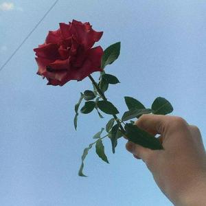 Ant Saunders/kaash paige-Yellow Hearts x Love Songs (Bootleg)（Dark remix）