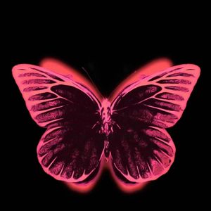 不懂得如何去说爱所以写了这首歌