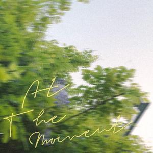 溯（翻自 一颗大白菜）