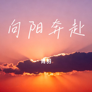 向阳奔赴