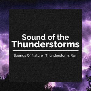 Another Day of Showers