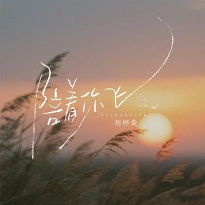 陪着你飞(和声伴奏)