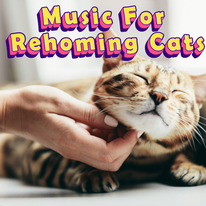 Anxiety Lullaby For Cat