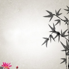 我晒干了沉默悔得很冲动