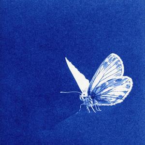 T o l d Y o u O v e r