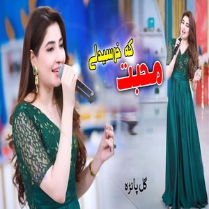 Muhabbat Ka Kharsidaly (New)