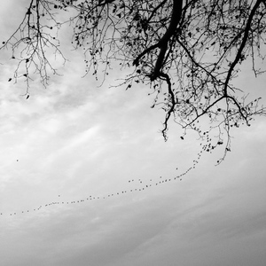 关于郑州的记忆(cover:李志)